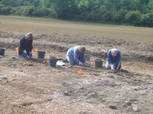 Volunteers have found a few pieces of tesserae in the bath house